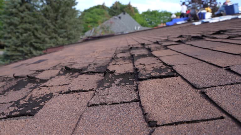 Best Emergency Roof Repair Services  in Boyertown, PA